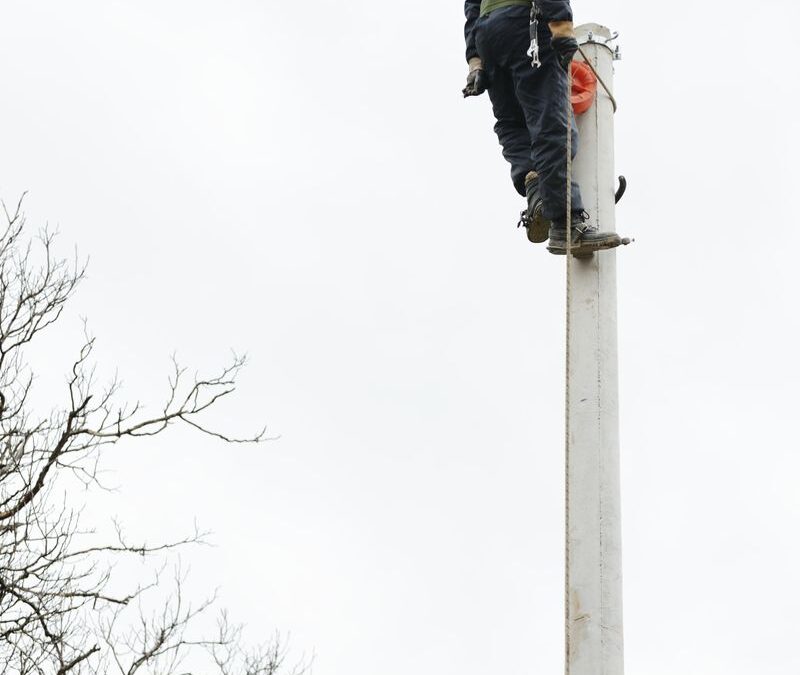 The irs notice CP10 in Lavon Isn’t Just a Notice