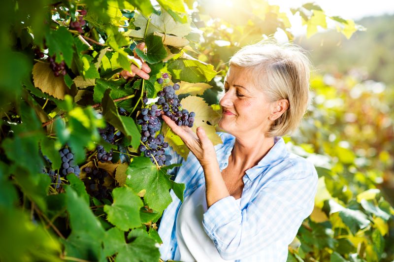 The irs notice CP23 in Frisco Opens Doors to Government Programs That Pay You Money