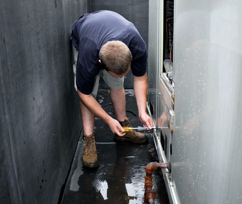 That irs notice CP42 in Lavon Could Be the Start of IRS Collections