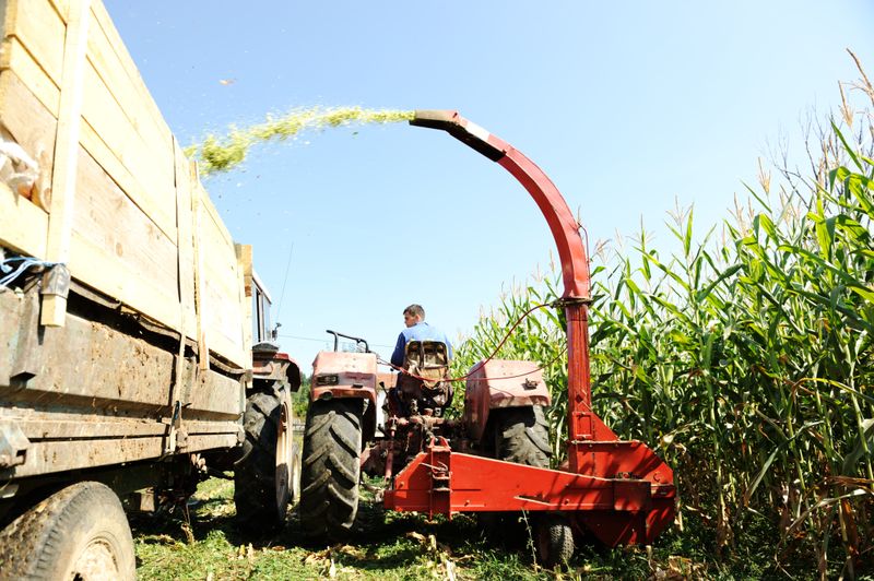 That irs notice CP23 You Received in Mckinney Points to Missed Tax Benefits Worth Thousands