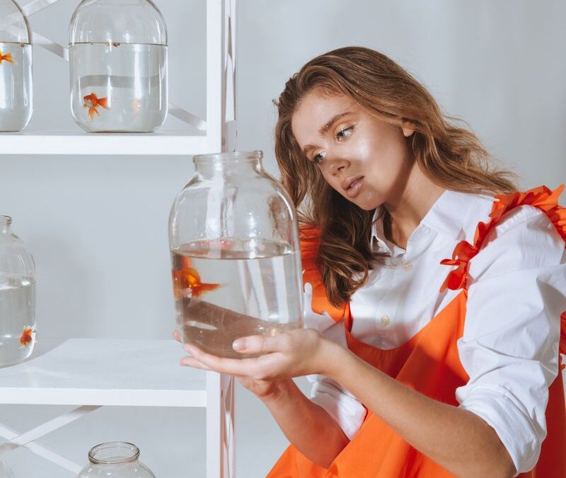 Tax Help for $150/Month: Why IRS payment plan setup assistance is the First Step to a Fresh Start in Los Angeles