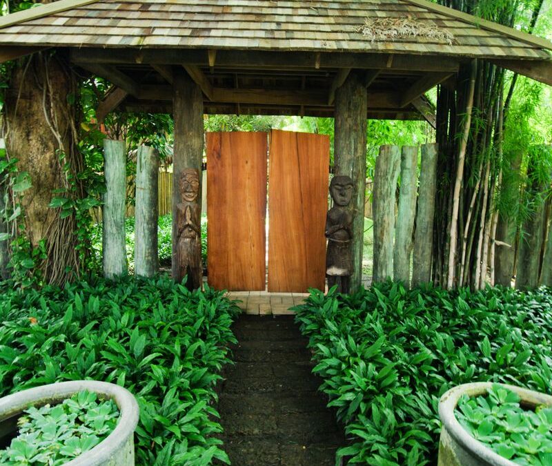 Tax Help for $150/Month: Affordable IRS Tax Resolution Services and IRS Notice CP504 for Sachse